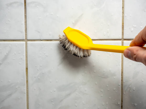 Best Emergency Mold Remediation in Rancho Tehama Reserve, CA